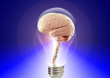 top 3 food for brain and memory boost